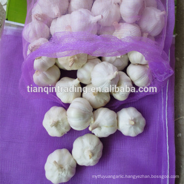 pure white garlic for kuwait